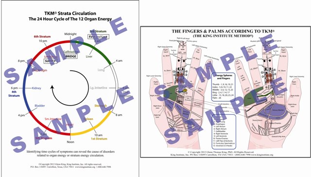 24_HR_and_Palm_chart