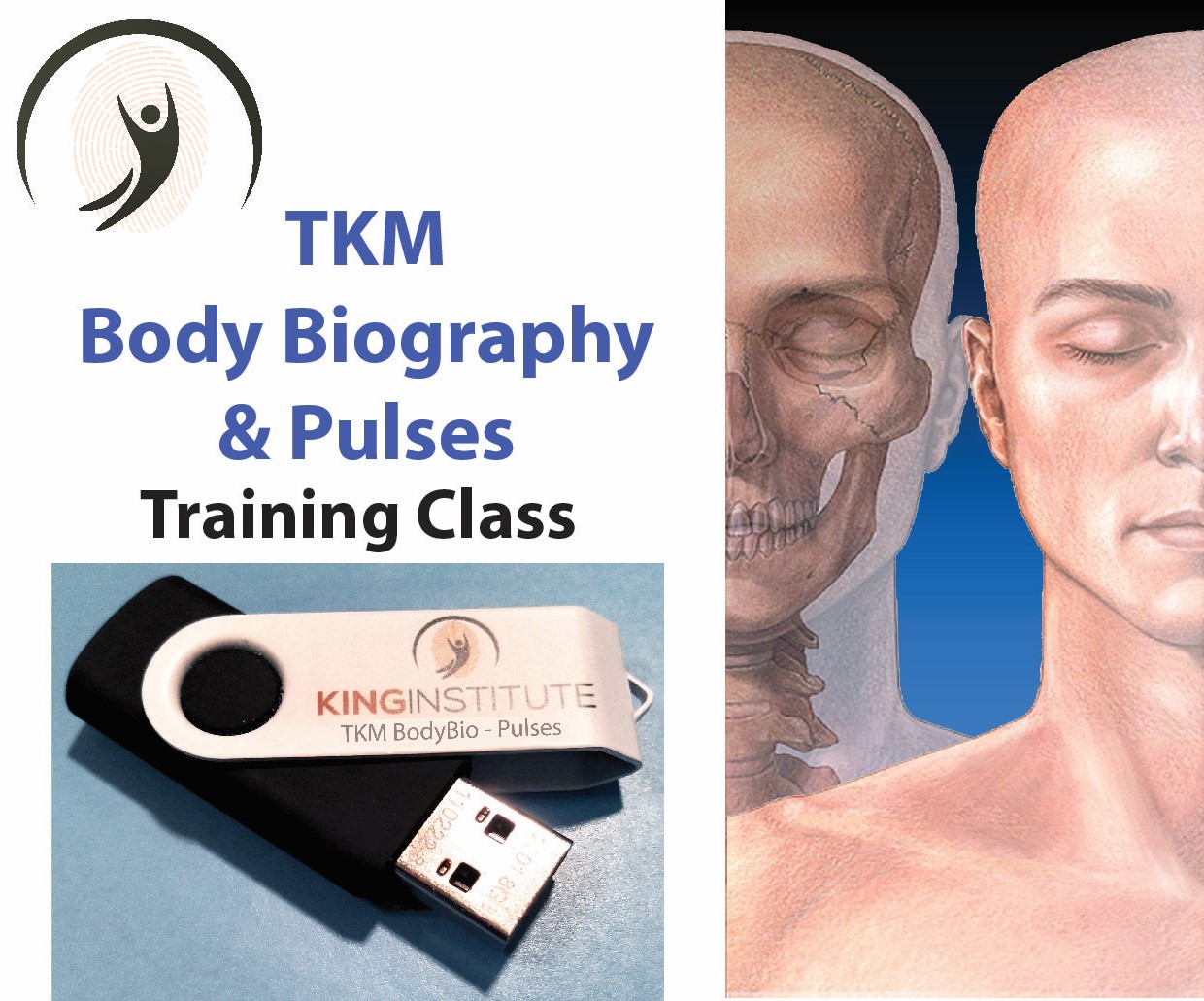 BodyBio-Pulses-FlashDriveLOGO