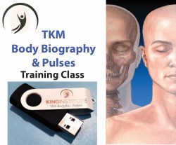 BodyBio-Pulses-FlashDriveLOGO